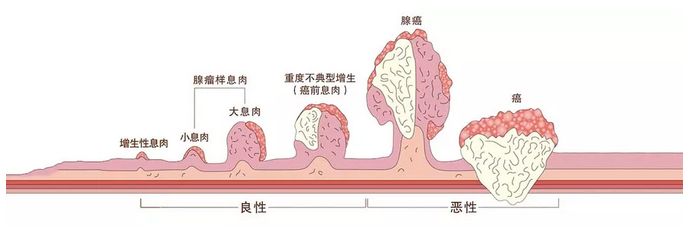 科3.jpg